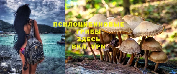каннабис Богородск